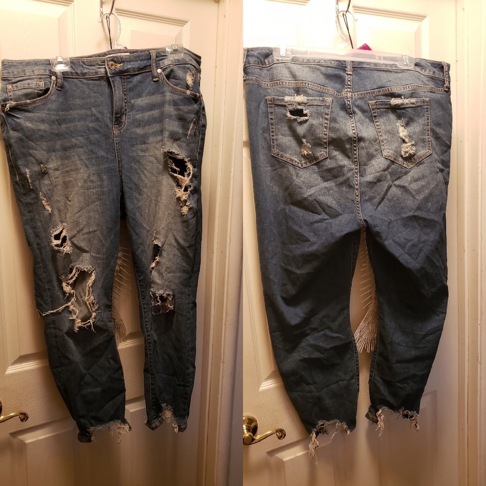 Torrid jeans
